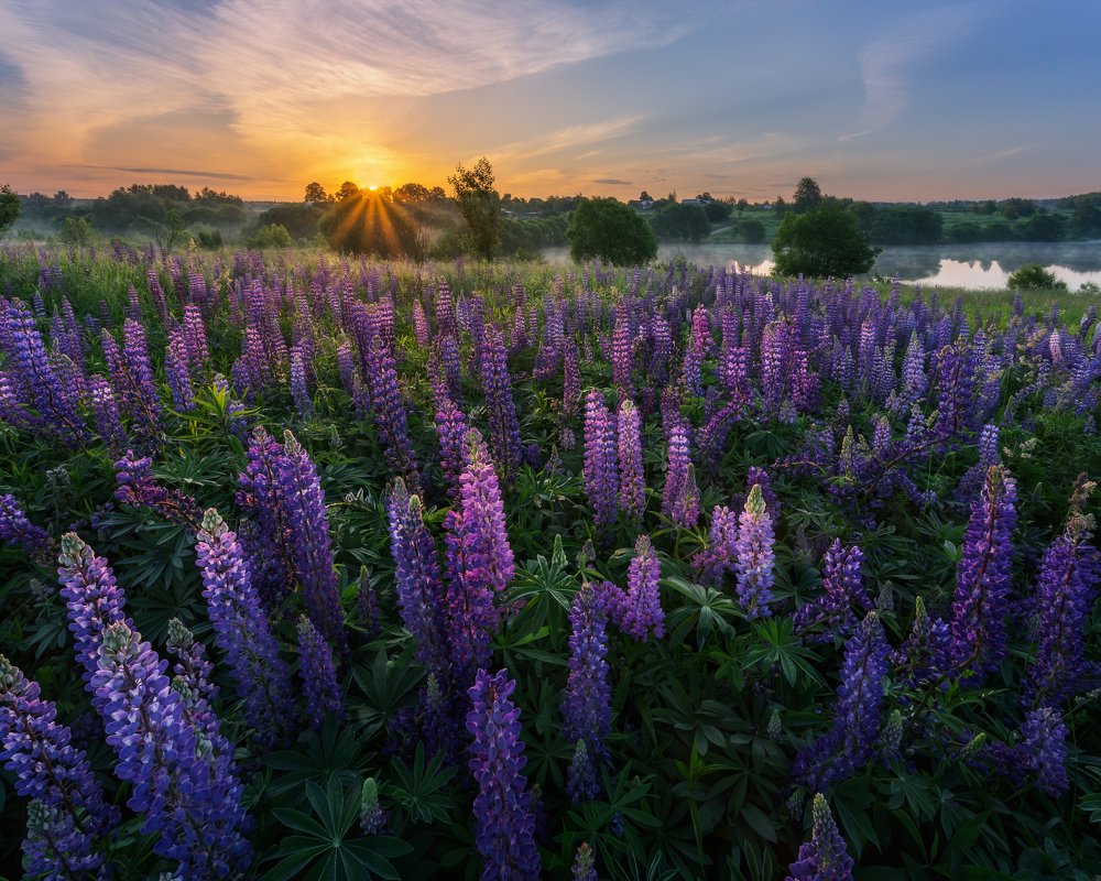 Фотография автора Мартыненко Дмитрий