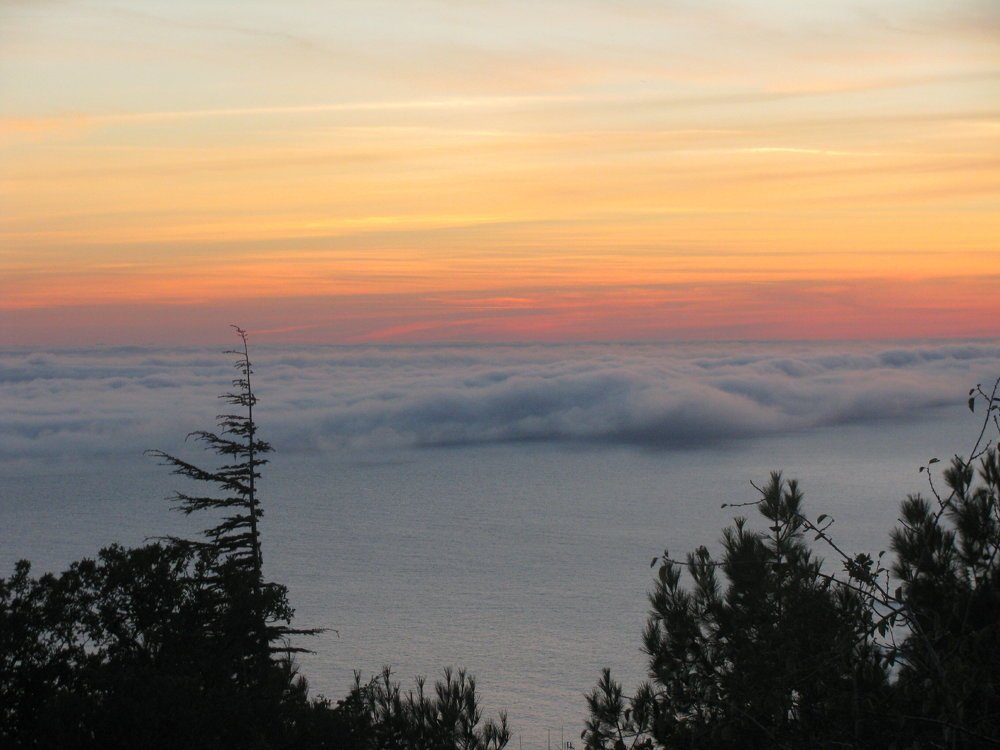 Photograph by Любовь Матвеева