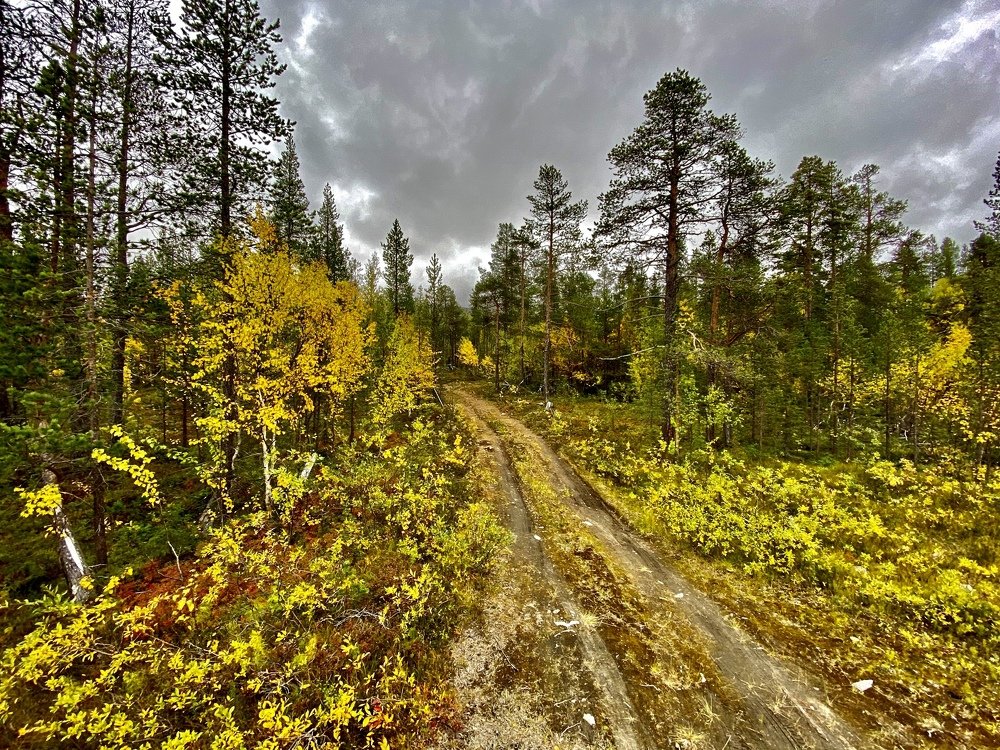 Направление