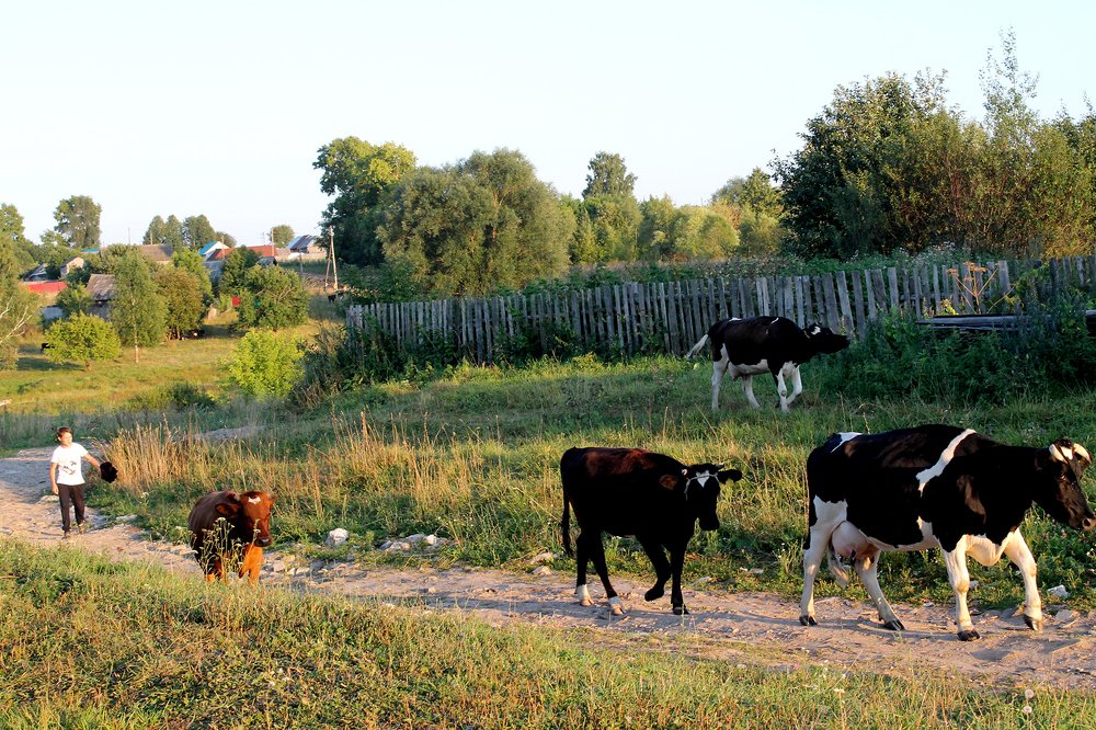 Фотография автора Людмила Иванова