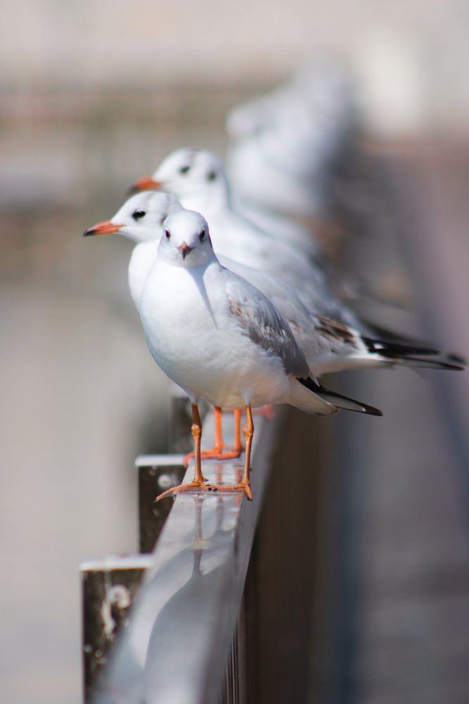Photograph by Sahitya Murali
