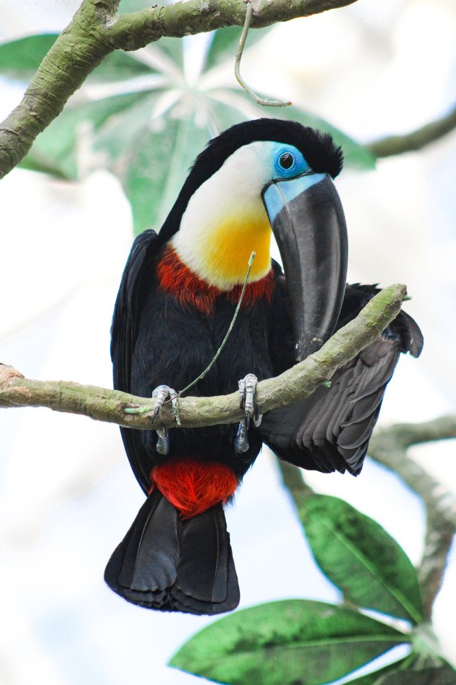 Photograph by Sahitya Murali