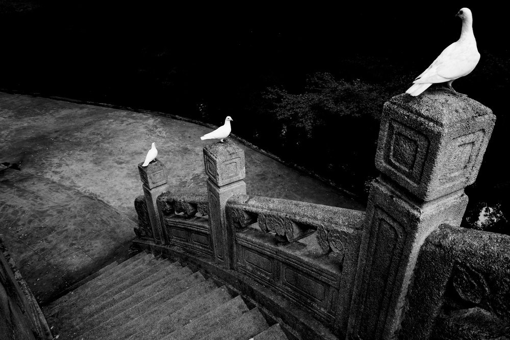 Photograph by Lucas Brière