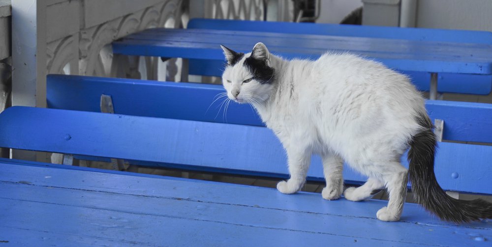 Фотография автора Никита Батищев