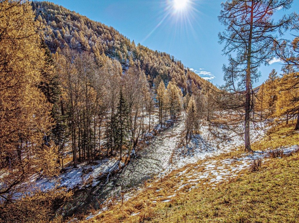 Photograph by Дмитрий Кузнецов