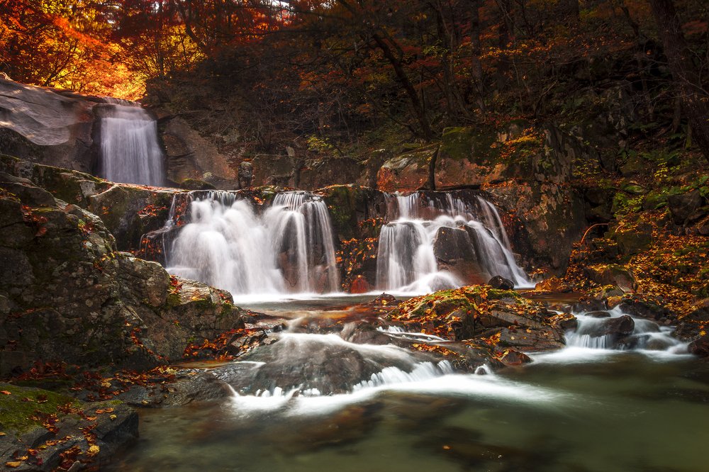 Photograph by Jo sek Seo