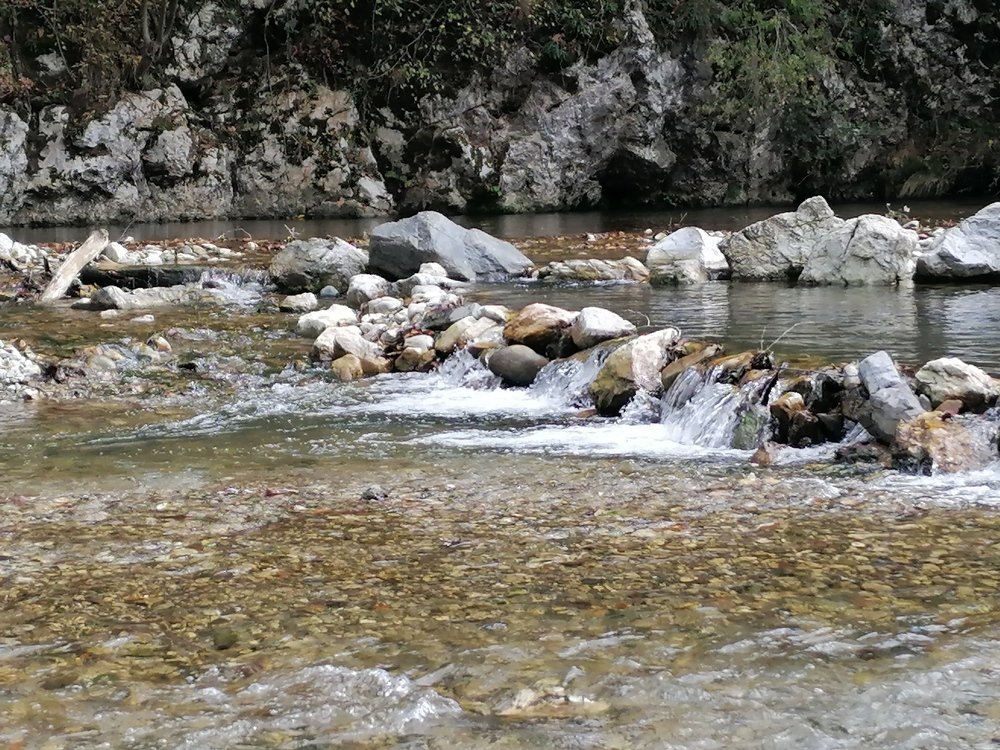 Фотография автора Danica Utjesinovic