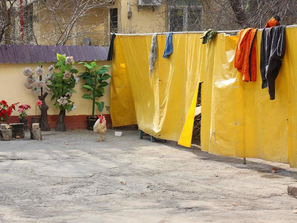 Photograph by Nargiza Karimova