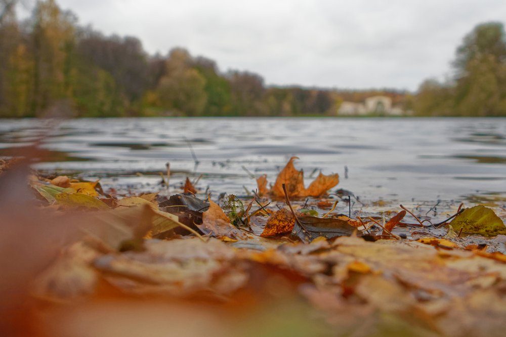 Photograph by Анатолий Калмыков