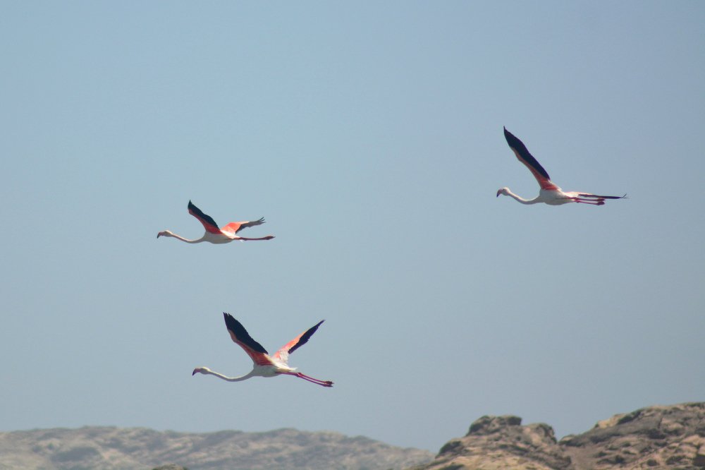 Photograph by Анатолий Орлов