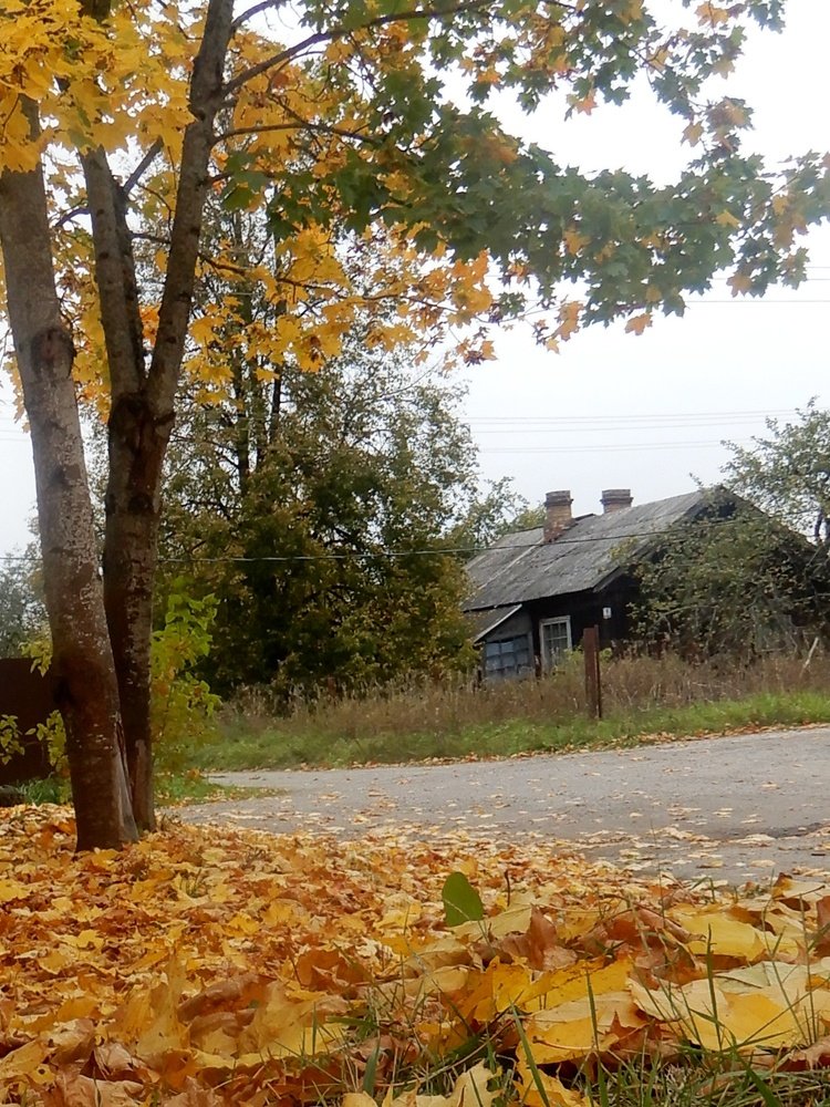 Photograph by Татьяна Красавцева