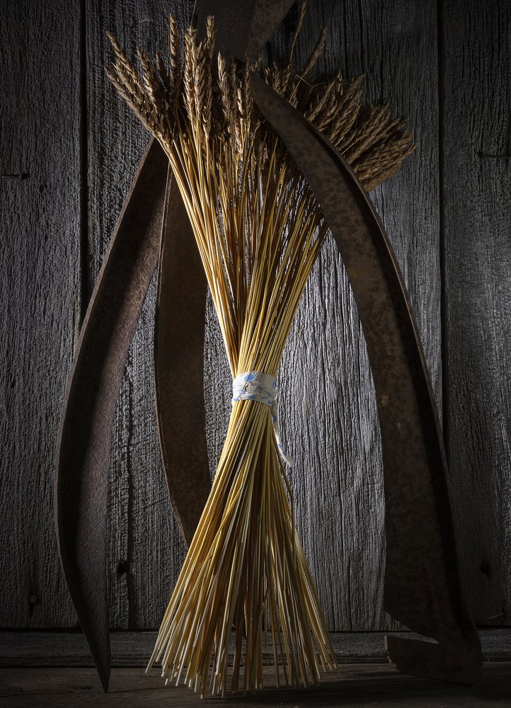 Photograph by Виктор