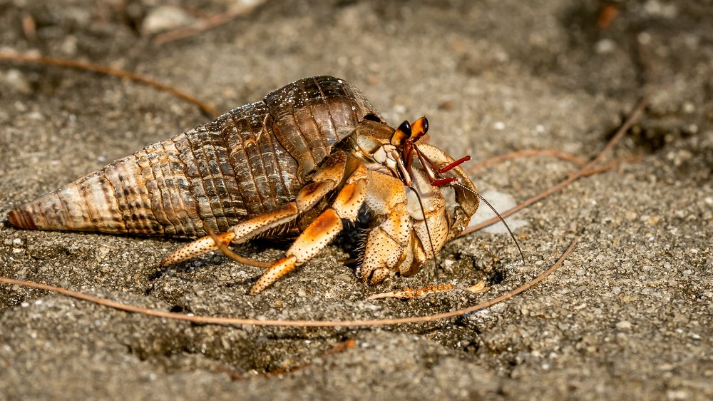 Photograph by Дмитрий Николаев