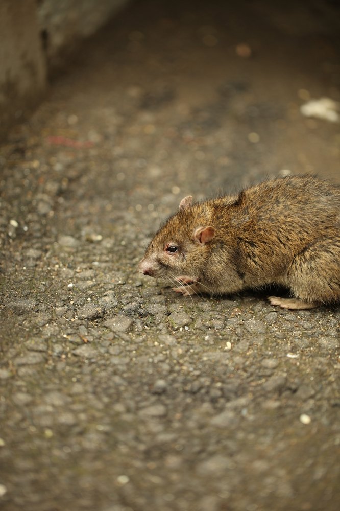 Photograph by Владимир Ясюкевич