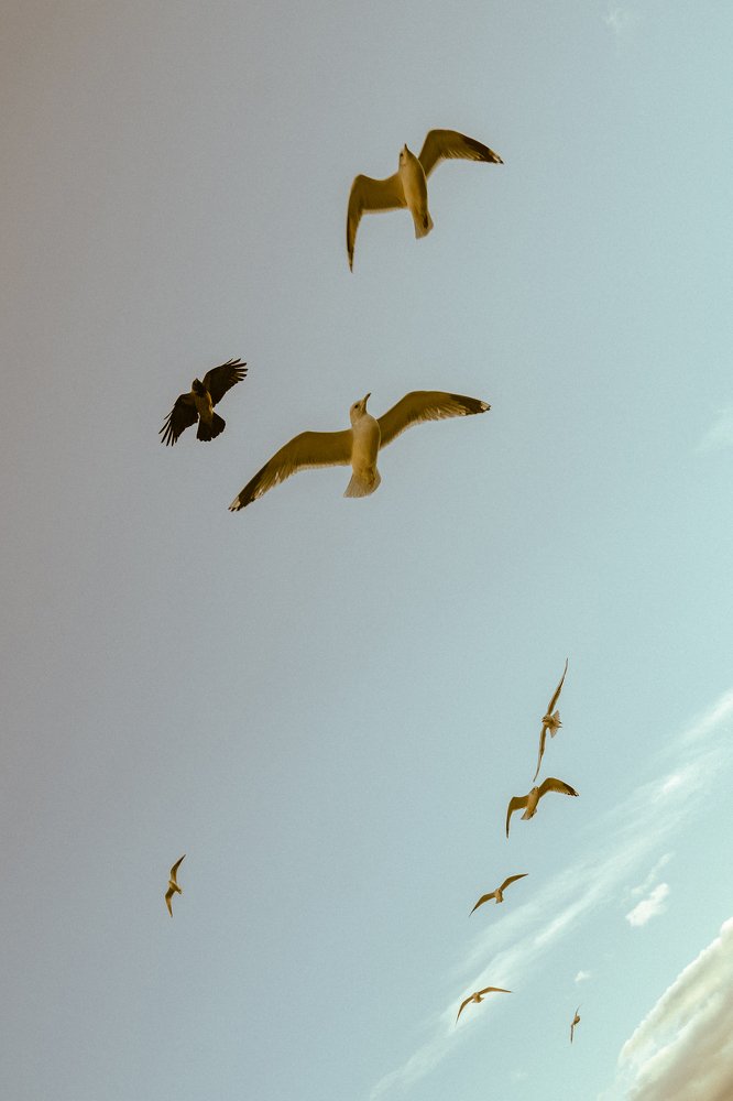 Photograph by Александра Леготина