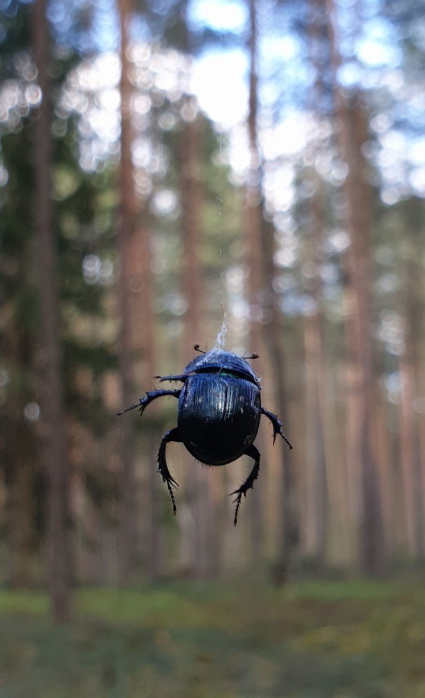 Photograph by Екатерина