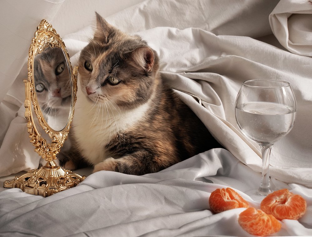 Photograph by Яна Шалинская