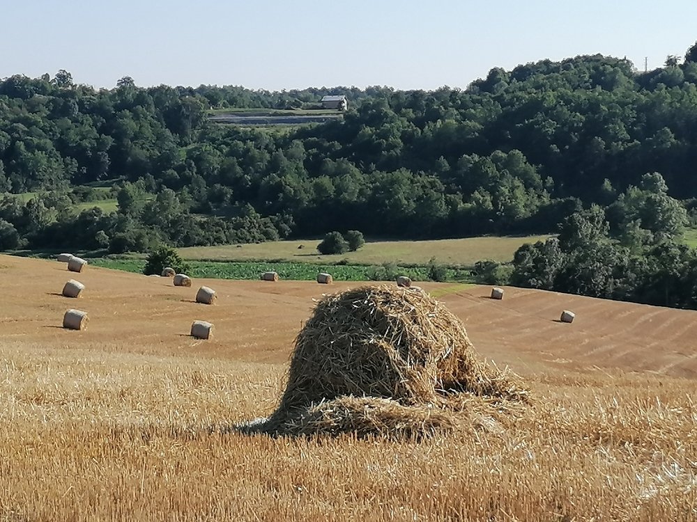 Фотография автора Danica Utjesinovic