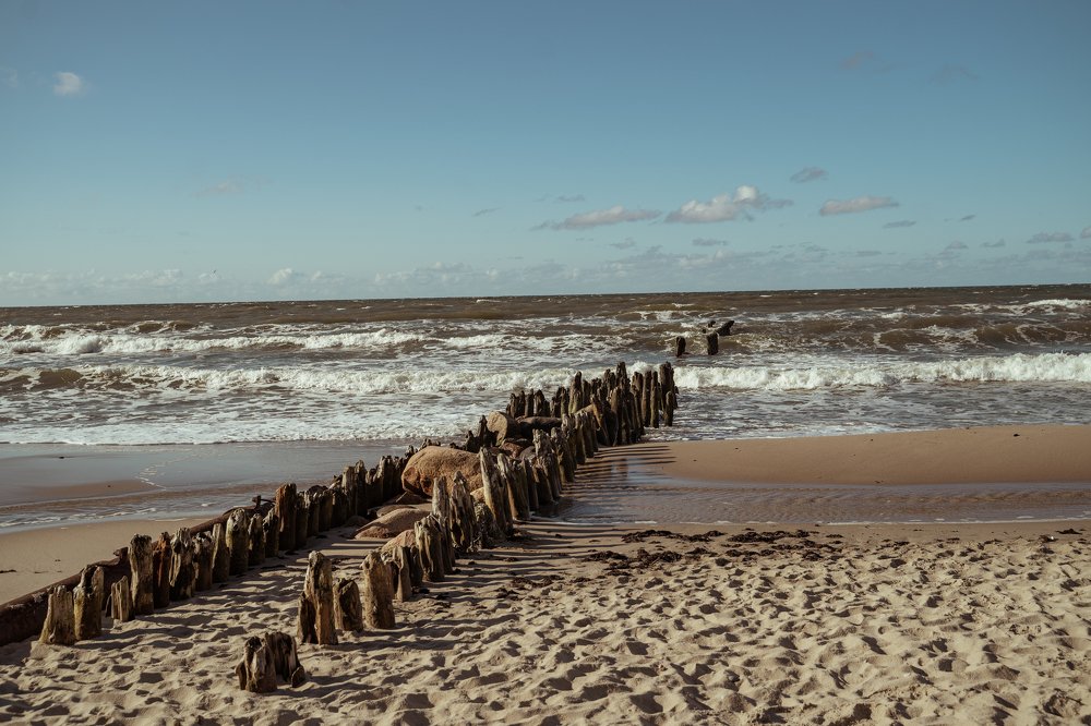 Photograph by Александра Леготина