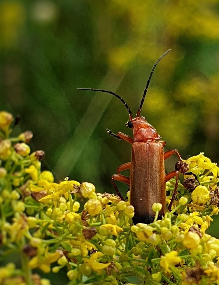 Photograph by Екатерина