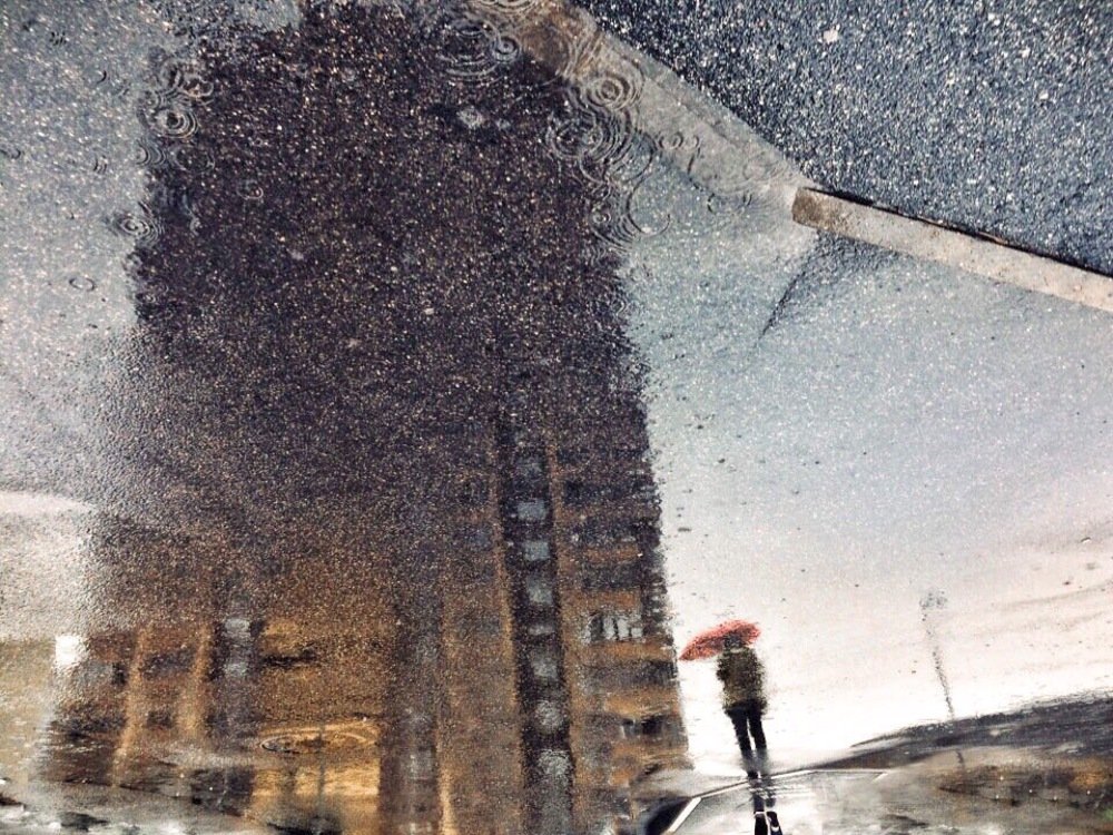 Photograph by Валяева Анастасия