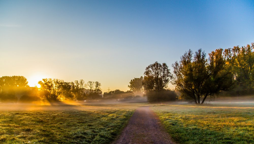 Photograph by Marina Kling