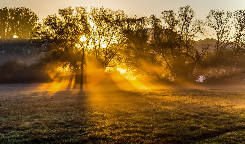 Photograph by Marina Kling