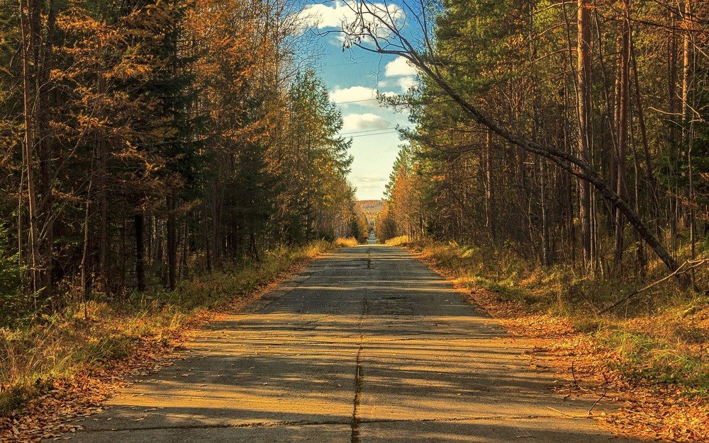 Photograph by Владимир