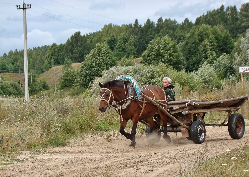 Деревенский фаэтон