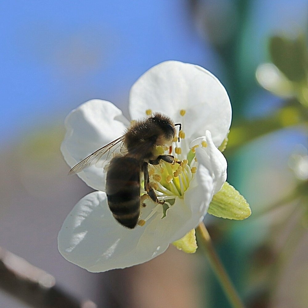 Photograph by Олег Башкуров