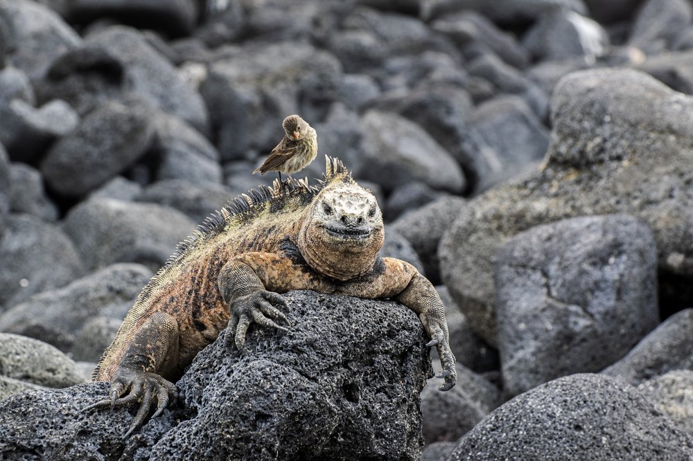 Photograph by Egor Nikitin