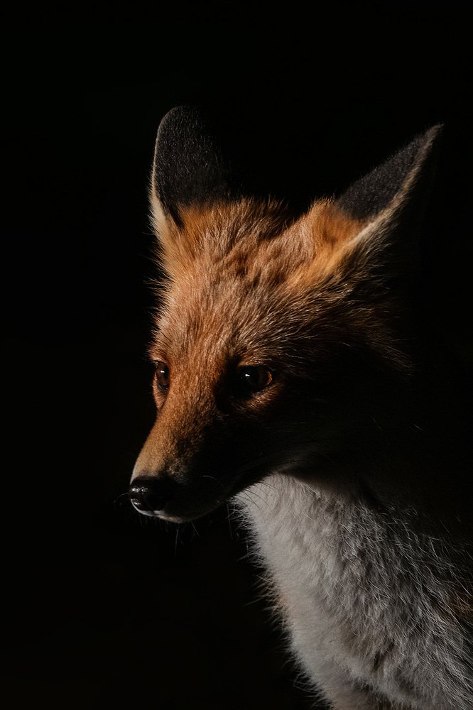 Photograph by Юлия Лайхо