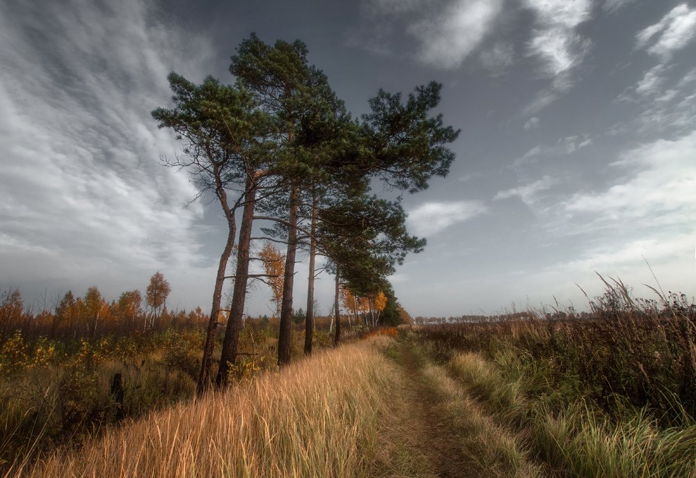 Photograph by Андрей Анненков