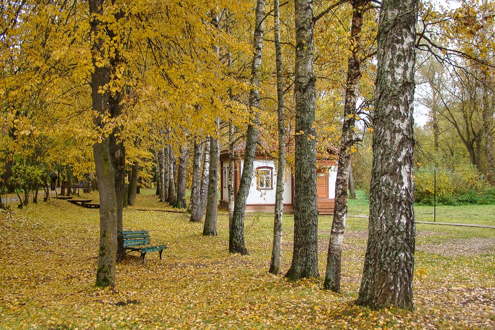 Осень в Мелихово