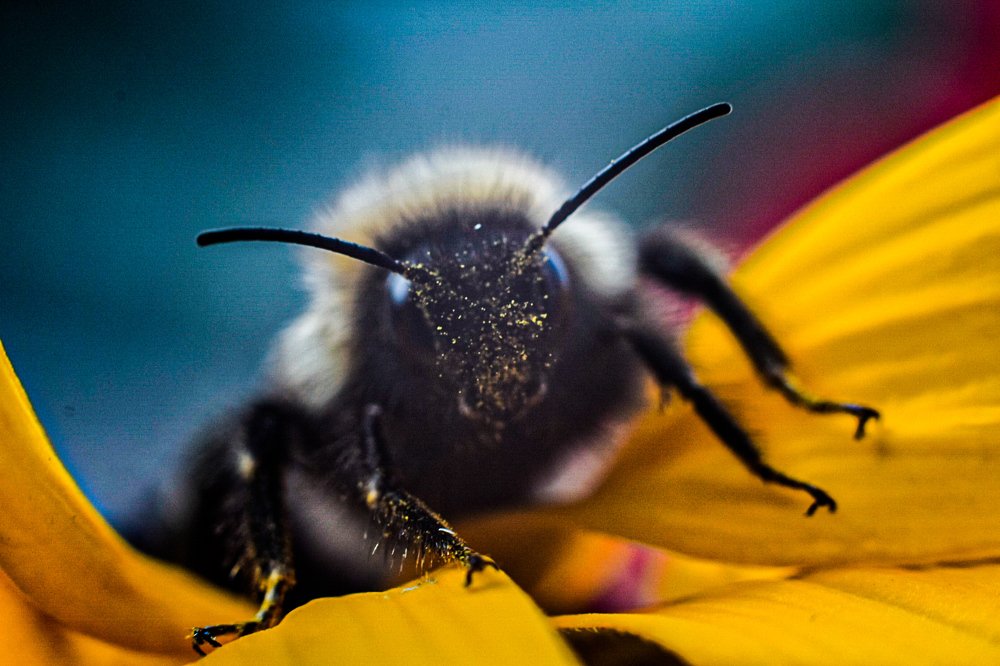 Photograph by Вероника Герман