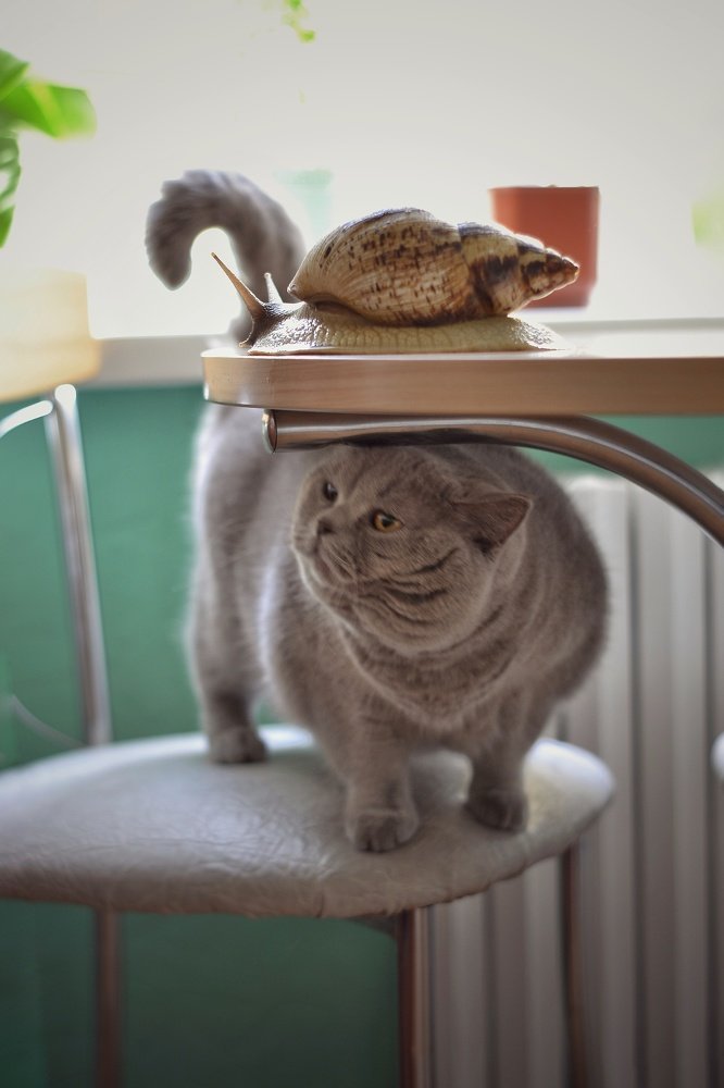 Photograph by Юлия Полтавец