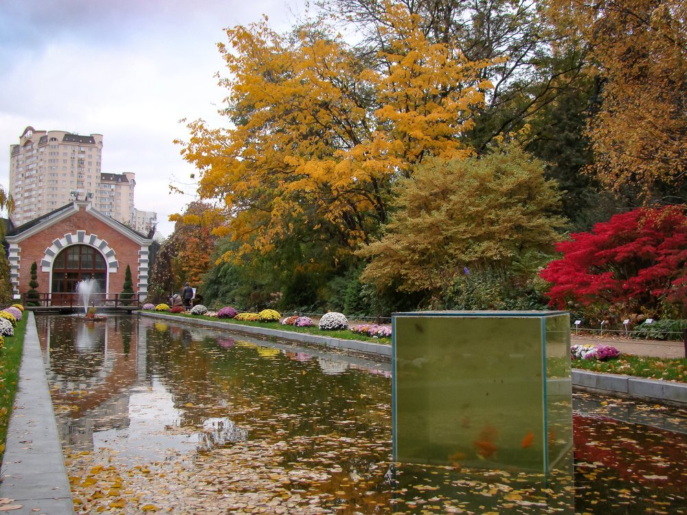 Осень в Аптекарском огороде