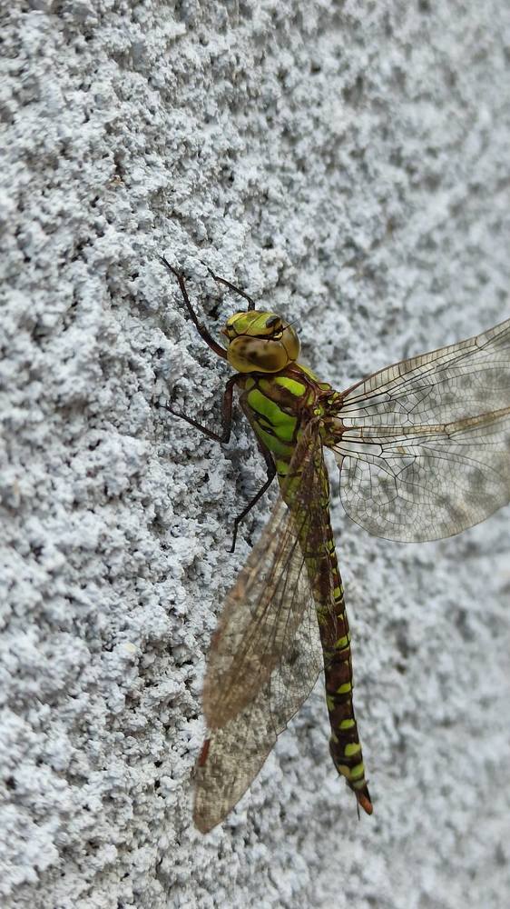 Photograph by Ольга Жогина