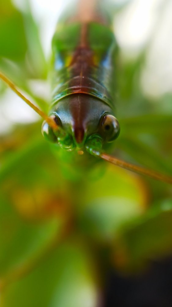 Photograph by Ольга Жогина