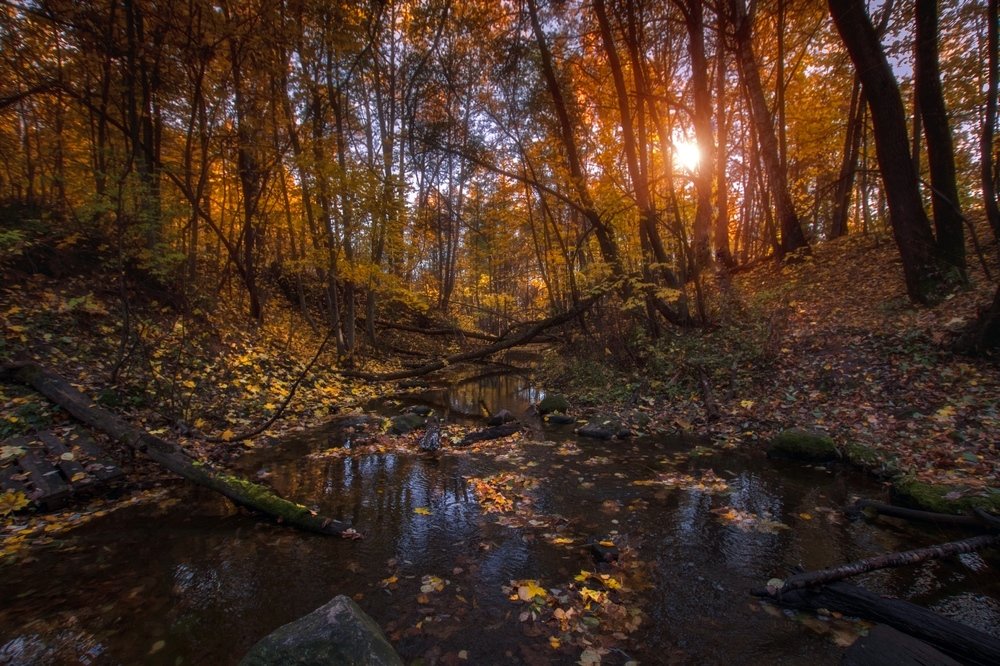 Photograph by Андрей Анненков