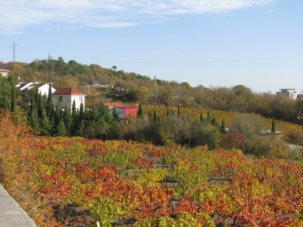 Photograph by Любовь Матвеева