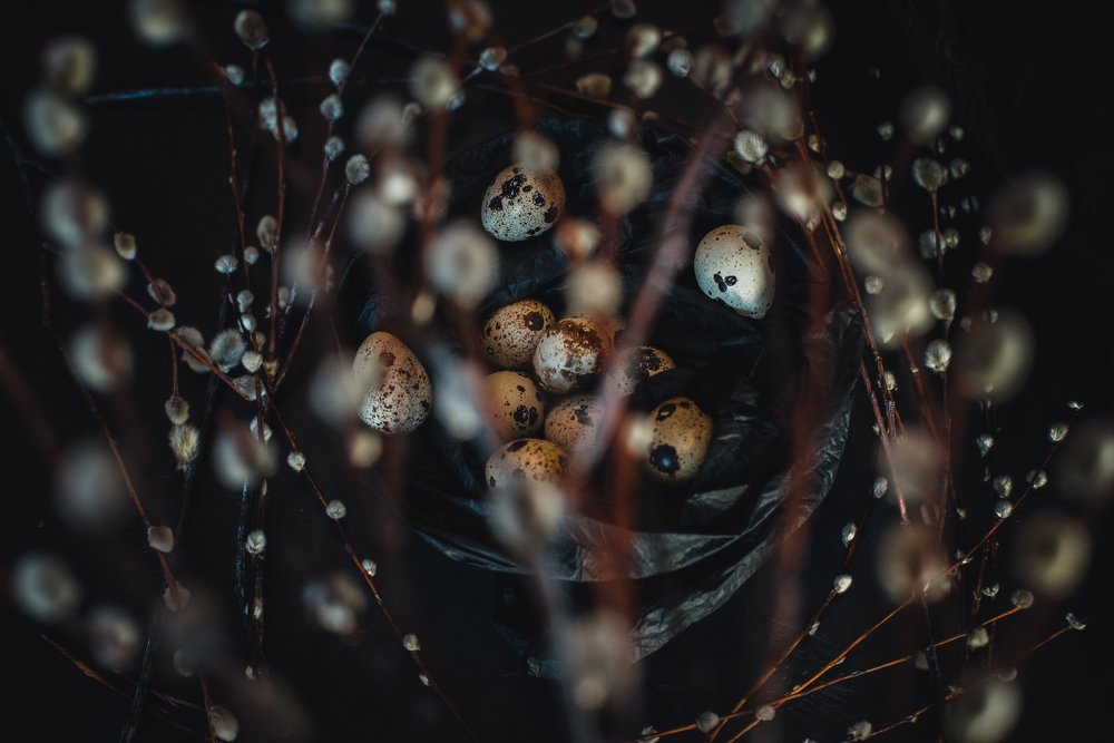 Photograph by Василиса Билуши