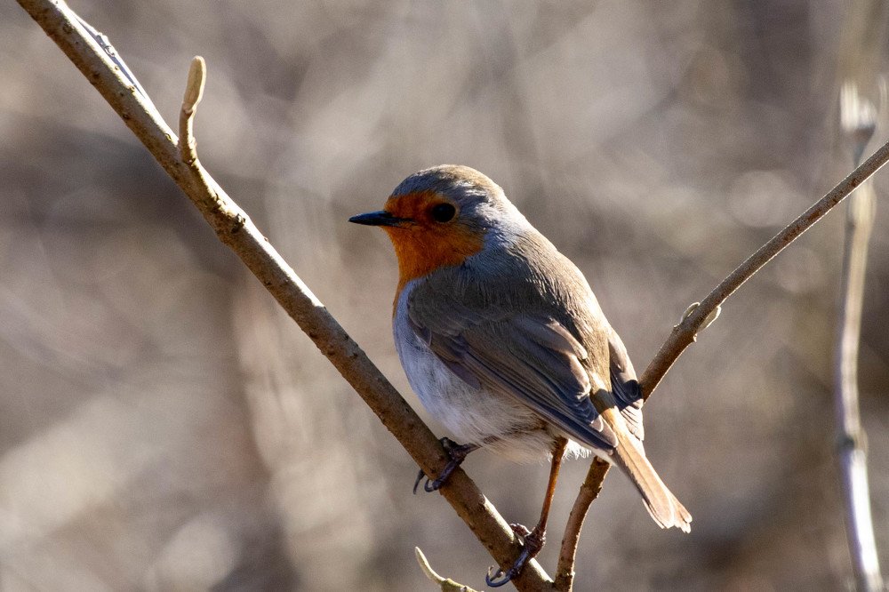 Photograph by Олег Башкуров