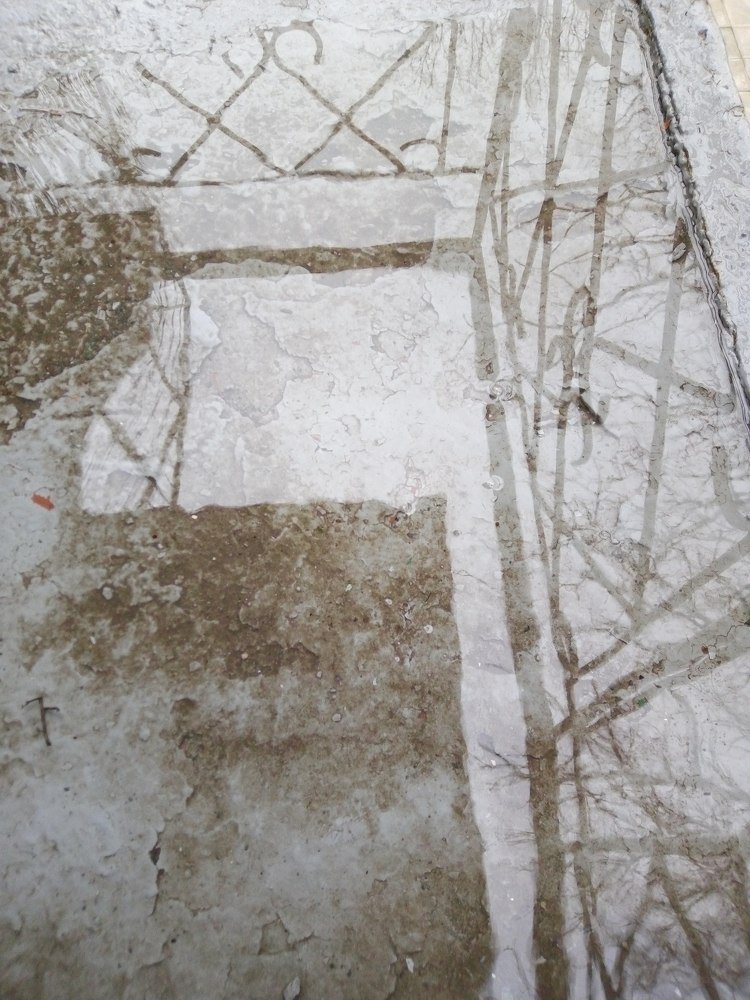 Photograph by Стельян Гаргала