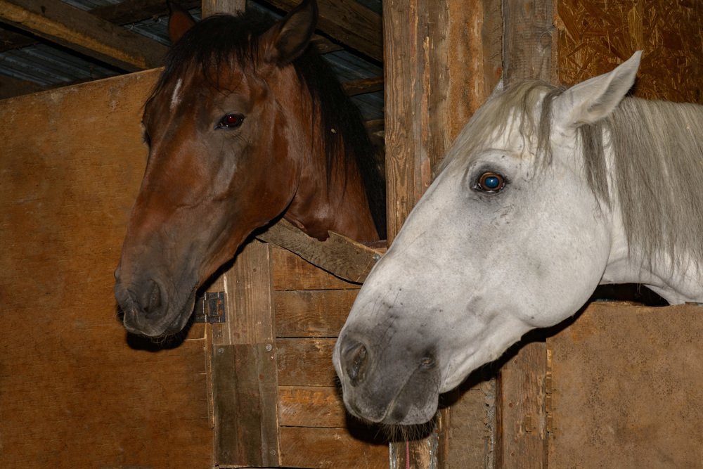 Photograph by Rimma Volchenko