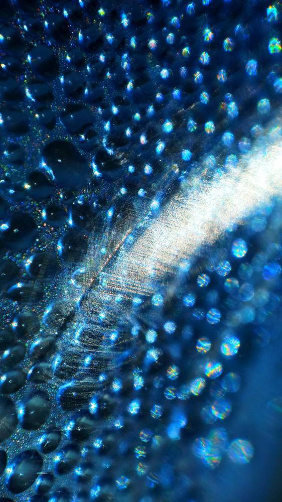 Photograph by Ольга Жогина