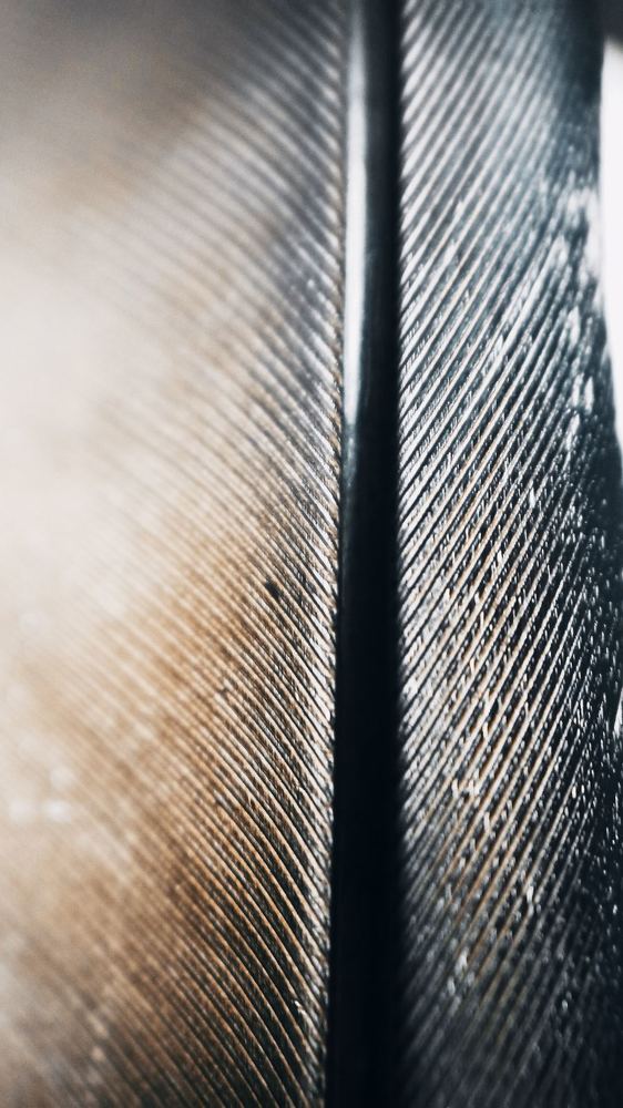 Photograph by Ольга Жогина