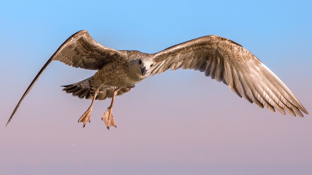 Photograph by Аркадий Саямов