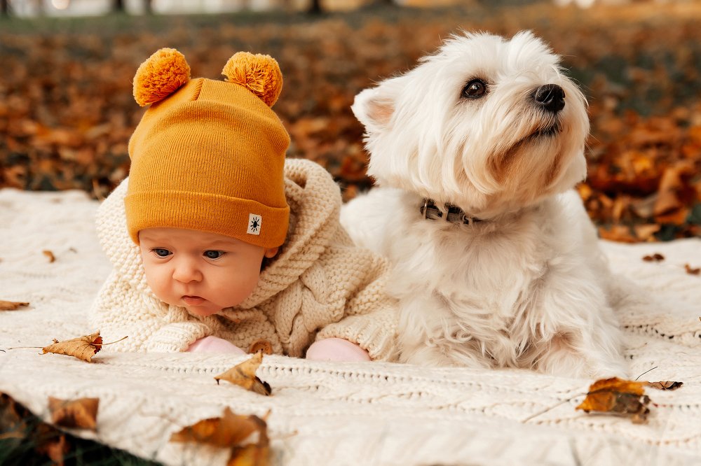 Photograph by Александра Юхневича