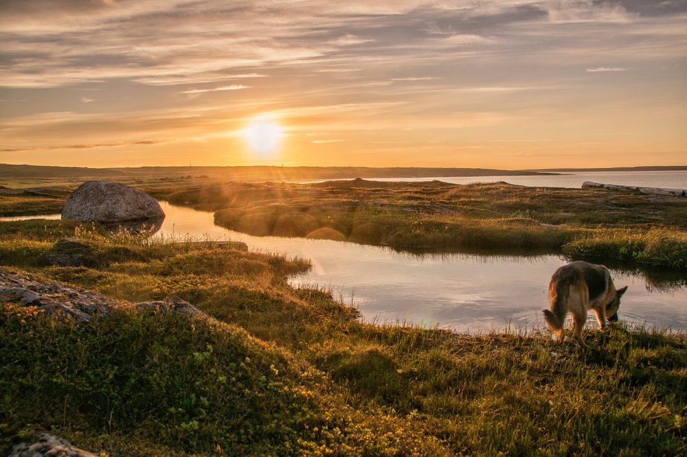 Заполярье. Край мира